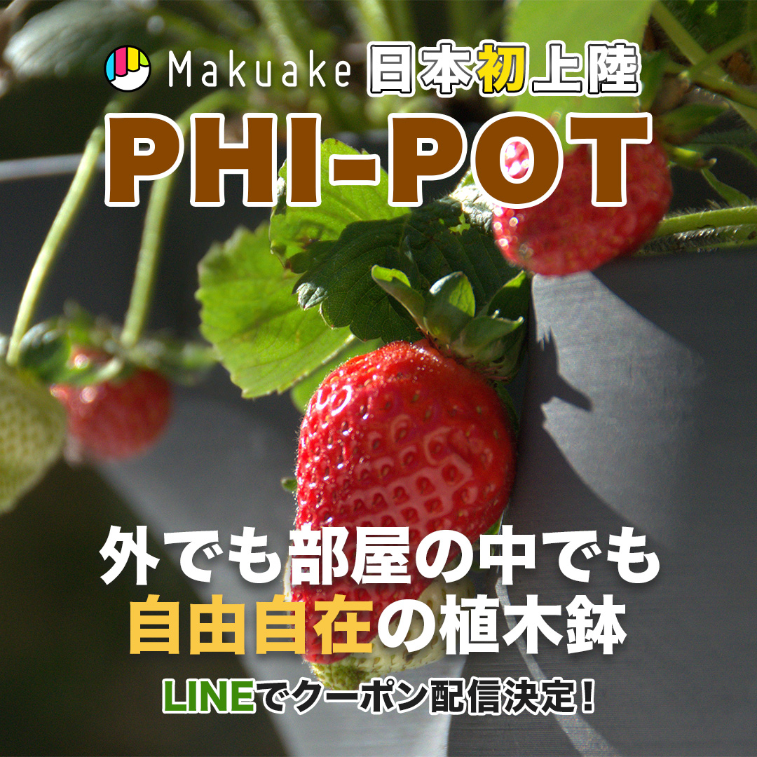 phi-pot4