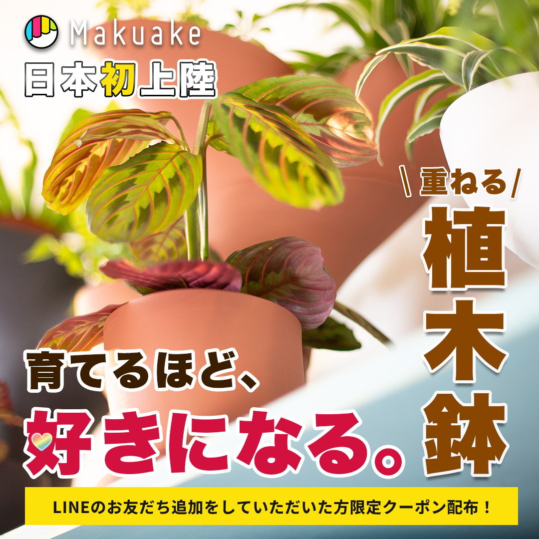 phi-pot5