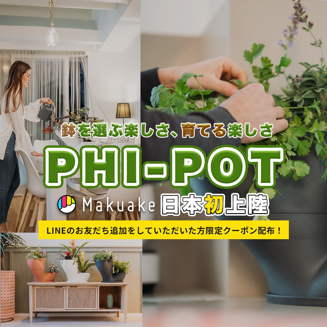 phi-pot6